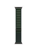 Apple Watch Ultra 2 Titan Schwarz Alpine Loop Dunkelgrün