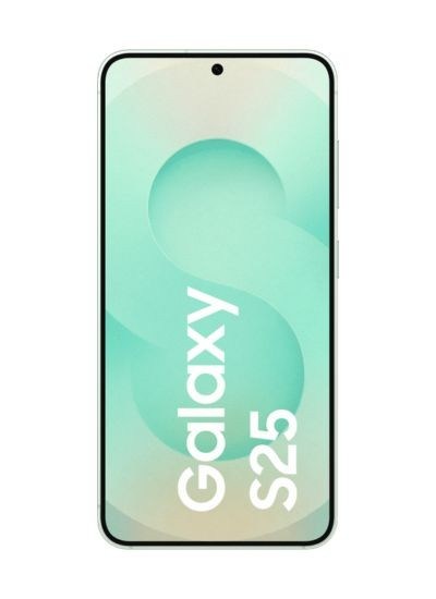 Samsung Galaxy S25 256 GB Mint