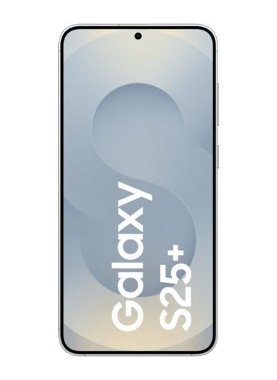 Samsung Galaxy S25 Plus 256 GB Silver Shadow