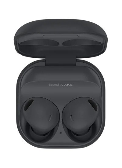 Samsung Galaxy Buds2 Pro Graphite